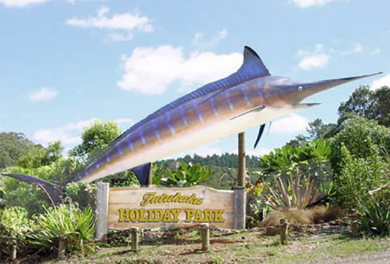 Tutukaka Sailfish