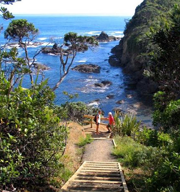 tutukaka coastal walk